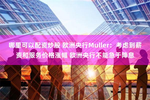 哪里可以配资炒股 欧洲央行Muller：考虑到薪资和服务价格涨幅 欧洲央行不能急于降息