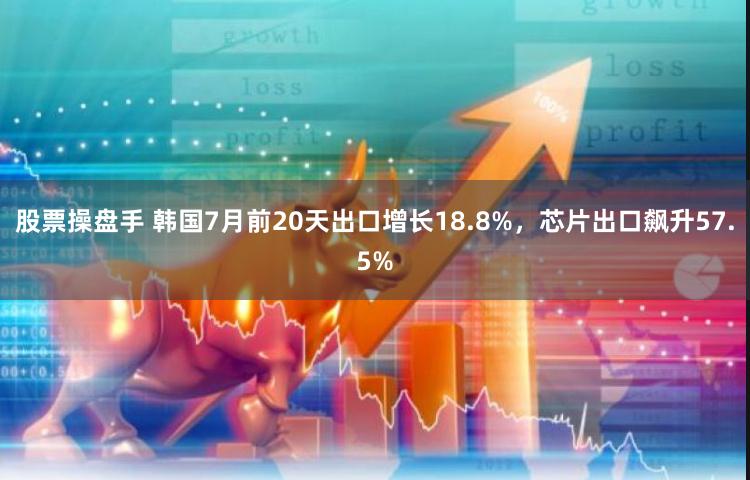 股票操盘手 韩国7月前20天出口增长18.8%，芯片出口飙升57.5%