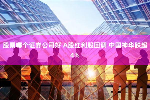 股票哪个证券公司好 A股红利股回调 中国神华跌超4%