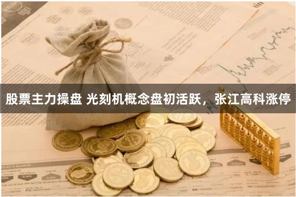 股票主力操盘 光刻机概念盘初活跃，张江高科涨停